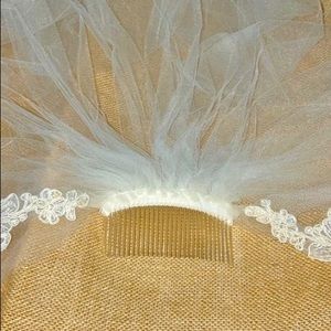 Cathedral length lace trimmed wedding veil.